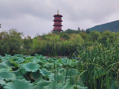 -云龙湖旅游景区
