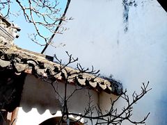 -上海醉白池公园