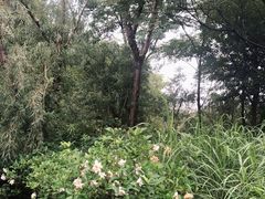 -梁鸿国家湿地公园