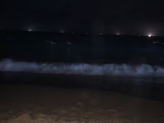 -Z+KTV自由港PLUS(仲盛店)