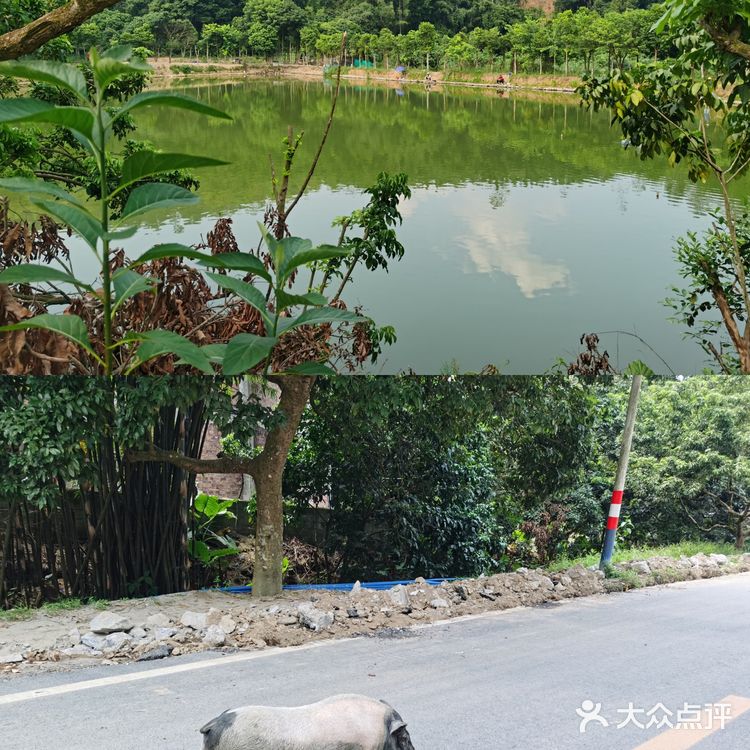 徒步广州黄麻村 | 探访小众郊游路线