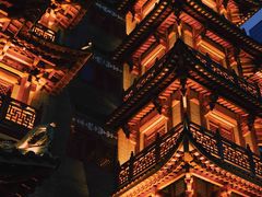 -大佛寺高级素食自助餐厅