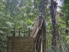 -海南热带雨林国家公园吊罗山景区