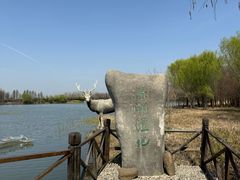 -溱湖国家湿地公园