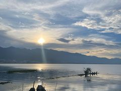 -野菌皇海景野生菌火锅(滨海大道店)
