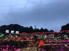 -枇杷园食为鲜火锅(南山店)