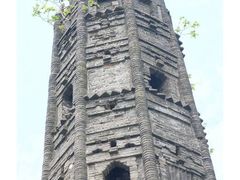 -上海佘山国家森林公园天马山园