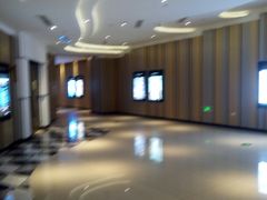 -百丽宫影城(CGS激光苏宁广场店)