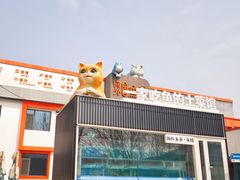 -向外鱼乐·土菜·虹鳟鱼