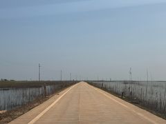 -鄱阳湖国家湿地公园