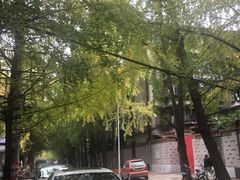 -牛王庙特色面(杏苑公寓店)