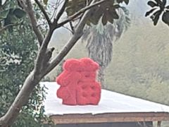 -宁波九龙湖开元度假村