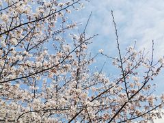 -中医药大学-第2食堂