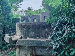 -紫金山山顶公园