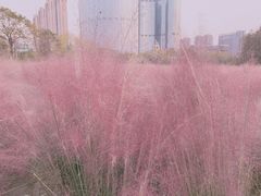 -艾溪湖湿地公园