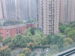-大美母婴月子中心(希尔顿店)