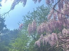 -泰山风景名胜区-普照寺