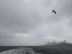 -阿尔卡特拉斯岛