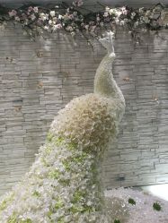 -依萱绮医疗美容