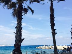 -小巴塞罗那海滩
