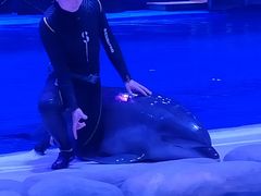 -华夏文旅海洋公园