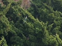 -棒棰岛宾馆景区