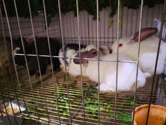 -米二红烧兔(华阳店)