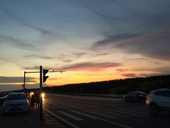 景点-合肥滨湖国家森林公园