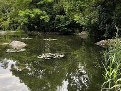 -新虹桥中心花园