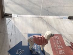 -申普宠物医院·眼科·心内科·影像科(普陀分院)