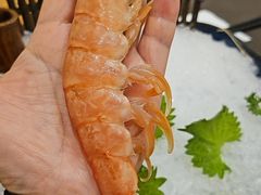 -酒久自助料理(佳兆业店)