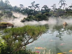 -罗红摄影艺术馆