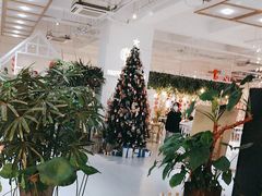 -ins森林童话餐厅coffee&bistro