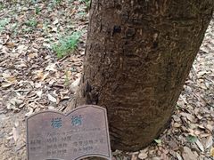 -上海佘山国家森林公园西佘山园