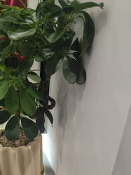 -LJOY丽锦造型·烫发染发