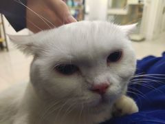 -佳雯宠物医院·皮肤科·内外科(春晓路分院)