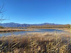 -野鸭湖国家湿地公园