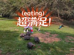 -南京老山国家森林公园
