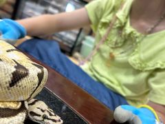 -上海大自然野生昆虫馆(东方明珠·爬宠昆虫探索中心)