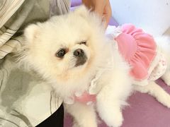 -怪兽屋·羊驼·猫咖·狗咖(俊华广场店)