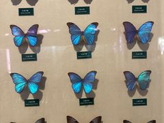 -陕西自然博物馆