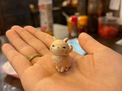 -金龙咖喱