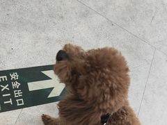 -纳吉亚猫专科动物医院·北北分院
