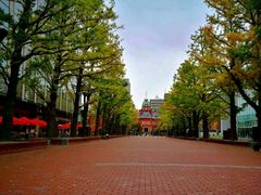 -北海道厅旧本厅舍(旧本庁舎)