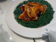 -新雅粤菜馆(南京东路店)