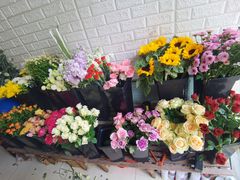 -雪蔓之鲜花气球派对(家佳源时代中心店)