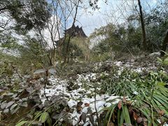 -杭州半山国家森林公园