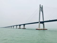 -招商蛇口邮轮母港(观光客运)