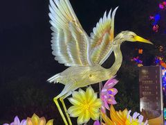 -厦门园林博览苑