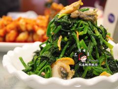 菠菜拌毛蚬子-添福来墨鱼饺子 · 海鲜东北菜(泡崖店)